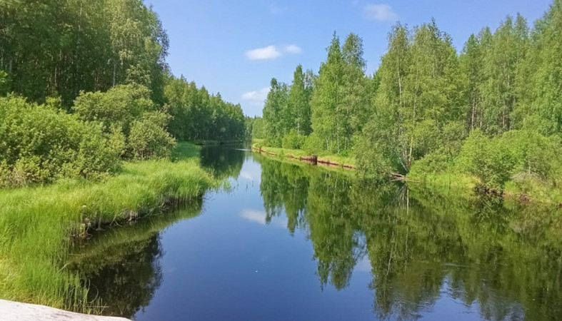 солнечный день