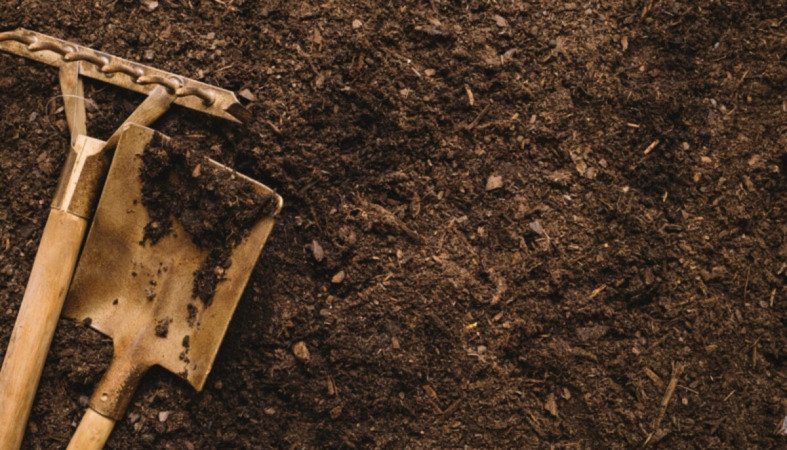 Лопата_грабли_субботник