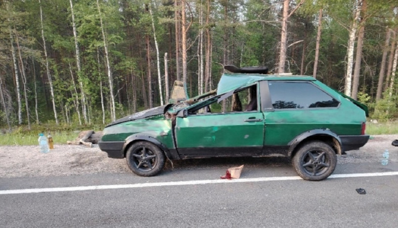 Автомобиль сбил лося