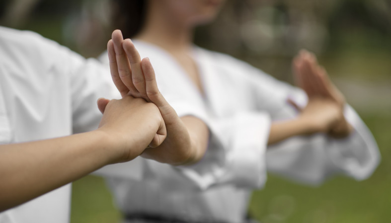 киокусинкай_спорт_единоборства