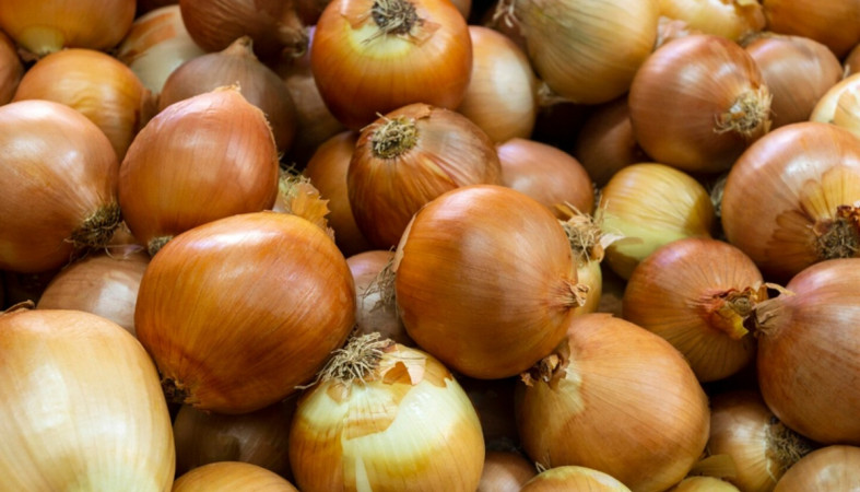лук