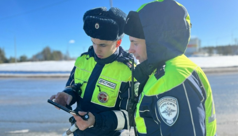 полиция_инспектор