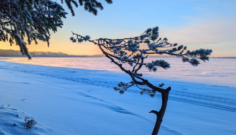 лыжня вдоль берега