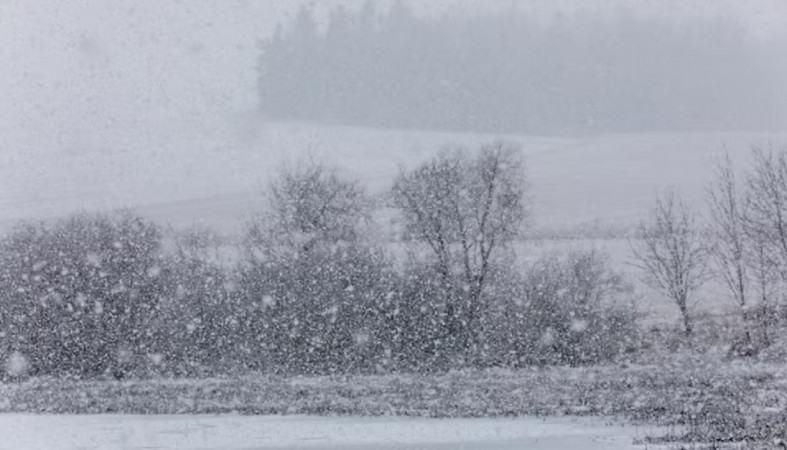 Снежный шторм