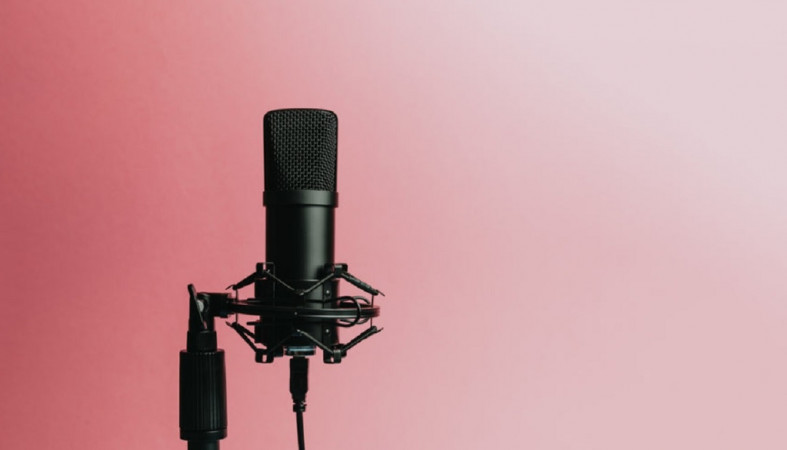 Микрофон певца