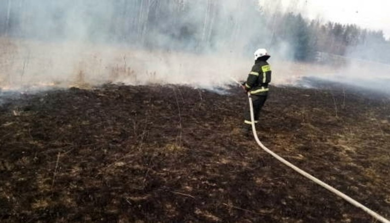 пожар_трава_поле