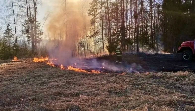 пожар_огонь_трава_весна