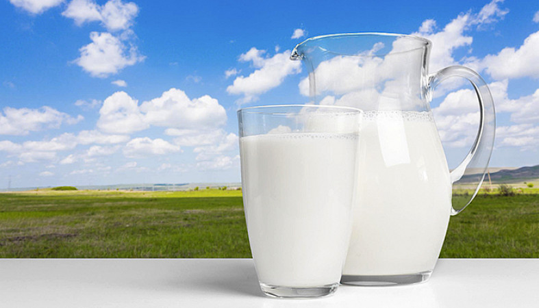 Производство сырого молока в Карелии вырастет до 200 тонн в сутки