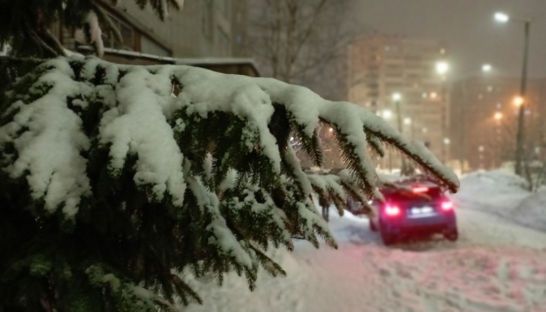 Петрозаводск, Карелия, Россия Погода на месяц | AccuWeather