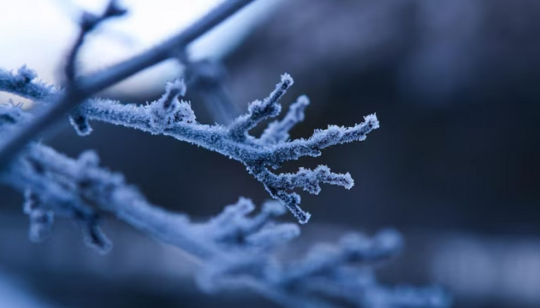 Морозная зима