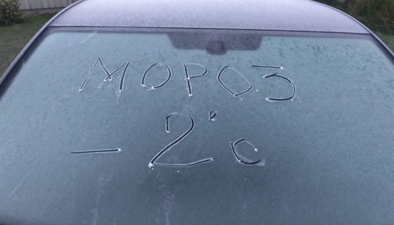 заморозки
