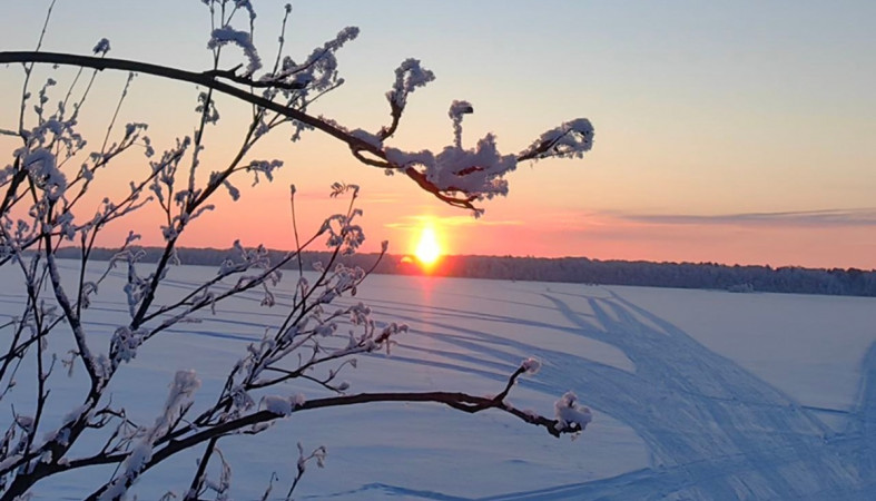 зимнее солнце