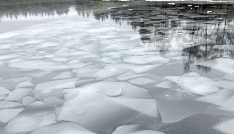 Необычный мраморный лед на озере