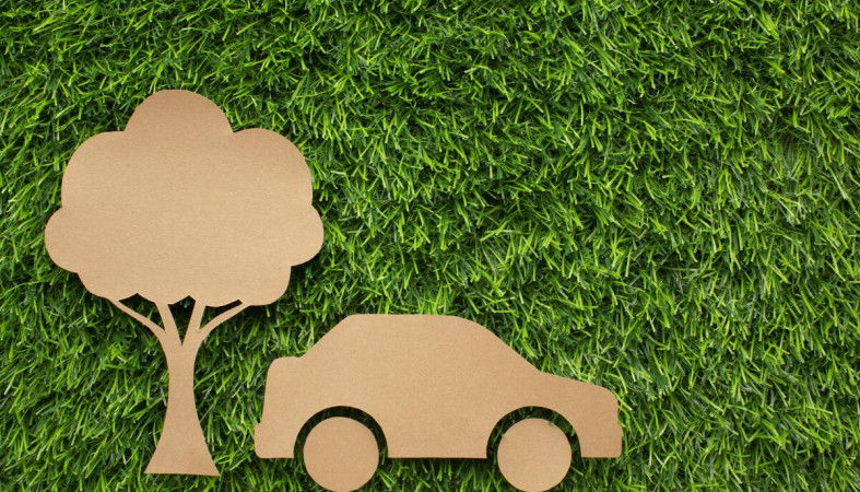 газон_парковка_трава_путешествие