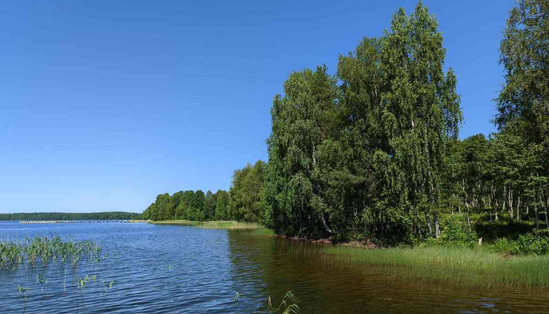 берег озера