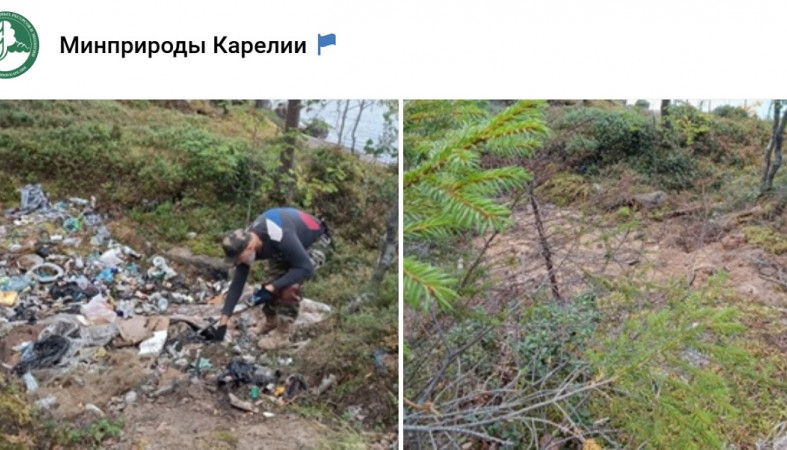 свалка отходов