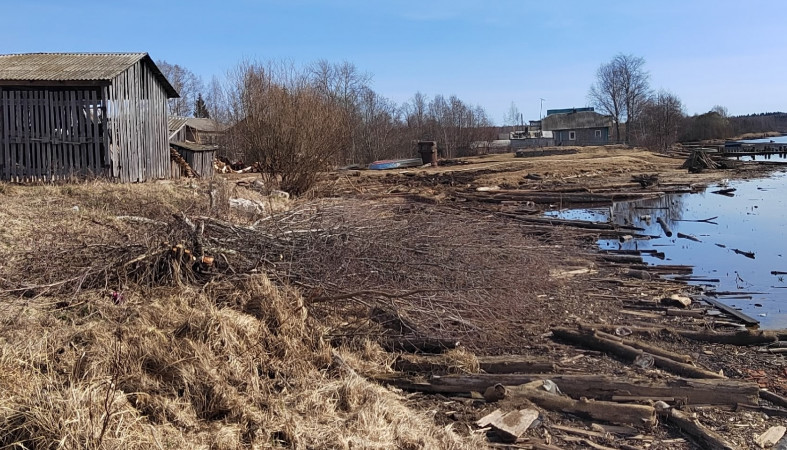 На берегу реки Водла