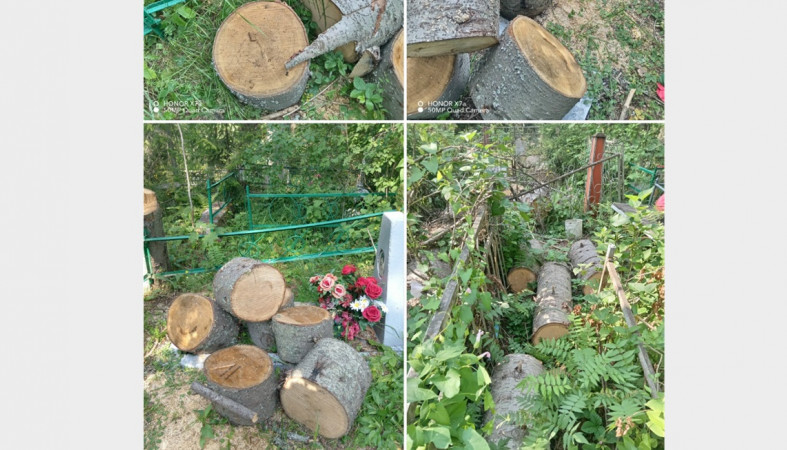 кладбище