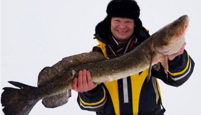 Однодневная подлёдная рыбалка на Онежском озере