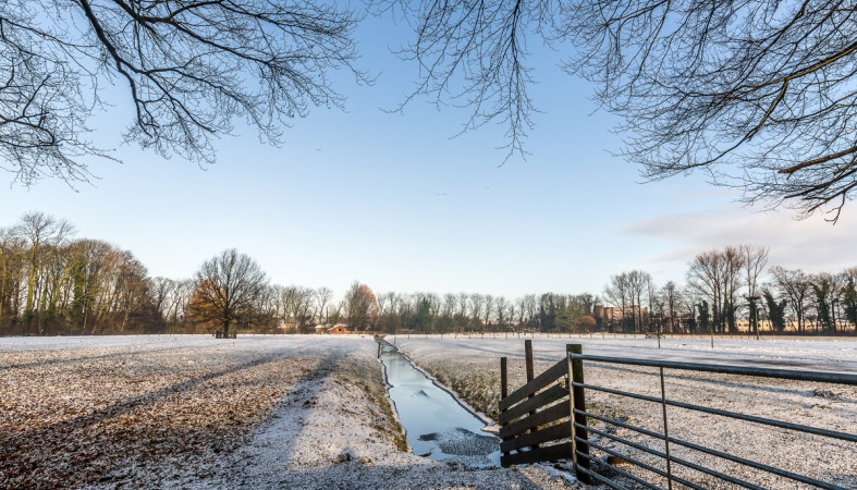 весна_поле_снег
