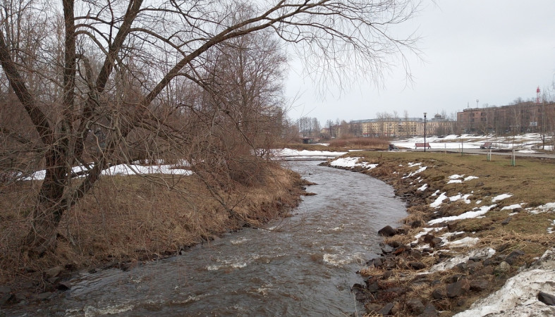 Петрозаводск_весна