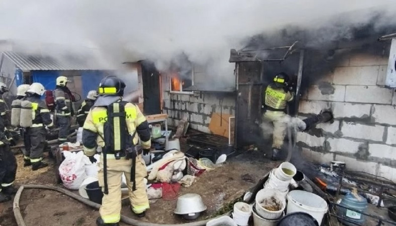 Пожар с собаками