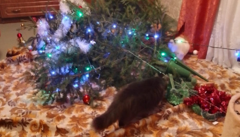 упавшая новогодняя елка