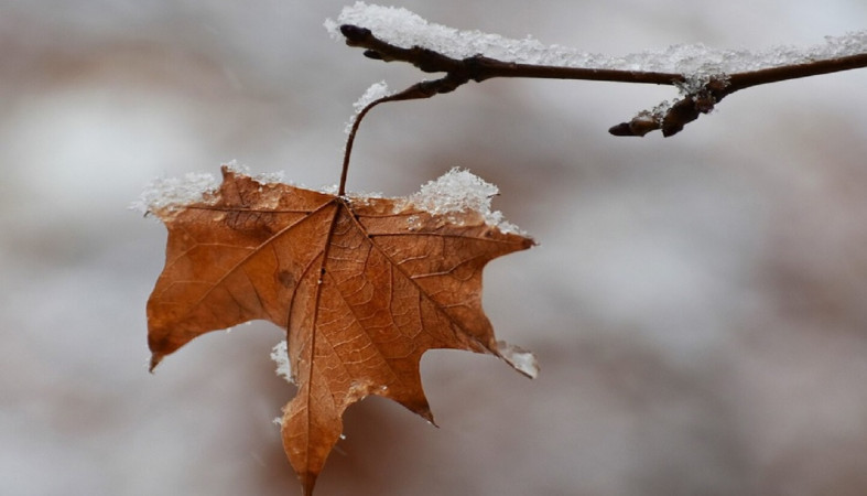 Снег осенью