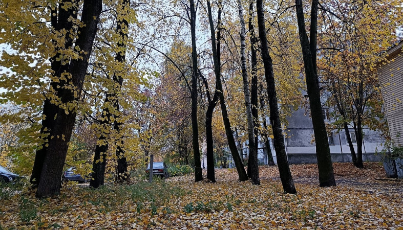 Осень в городе
