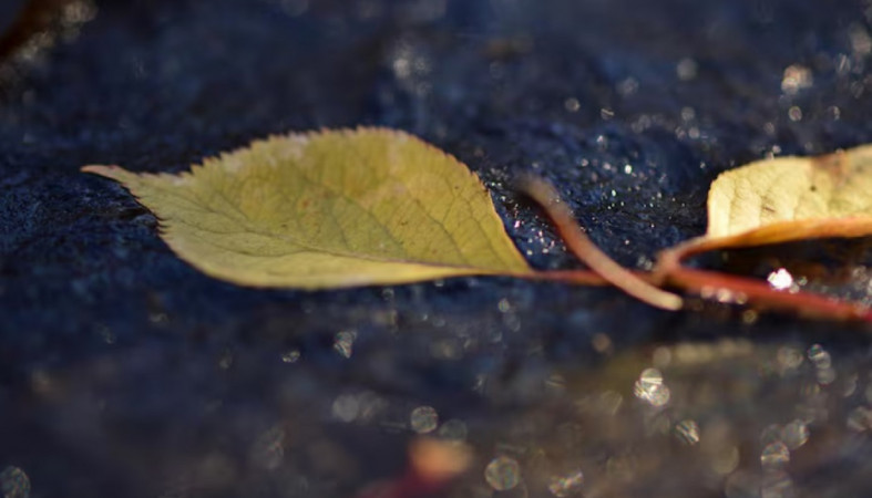 Осень в городе Осень в городе