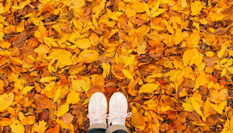 Осень в городе