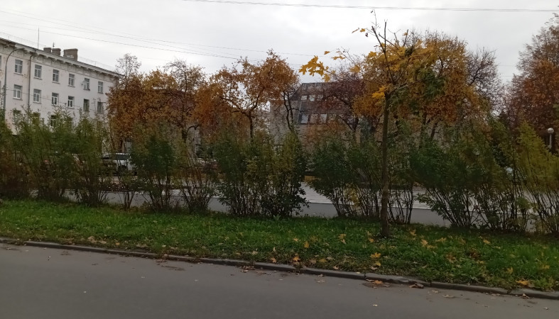 осенняя улица