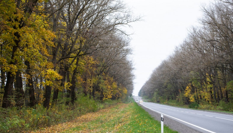 дорога