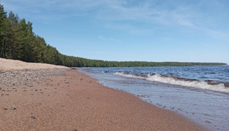 Спасатели вытащили из воды тонувшего мужчину в Сортавале