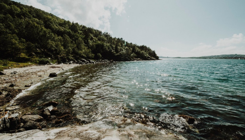 берег озера