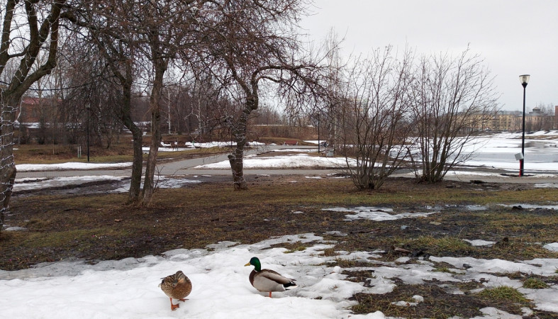 весна_Петрозаводск