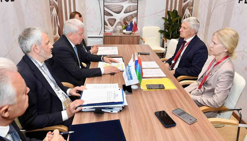 парфенчиков и делегация газпром_правительство