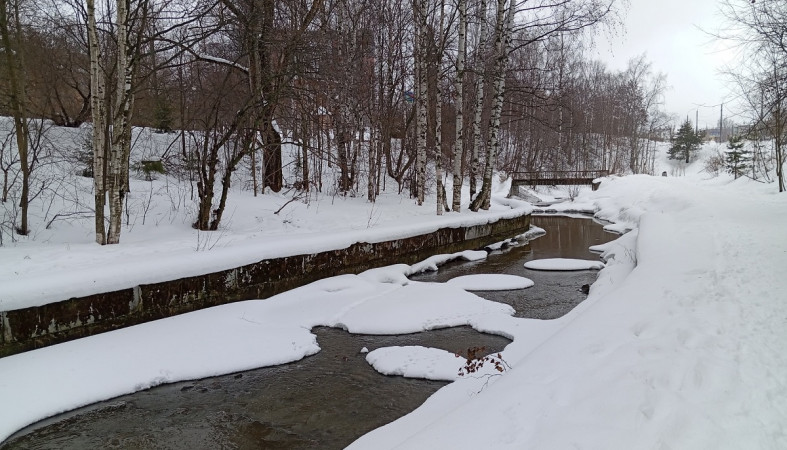 зимний парк и речка