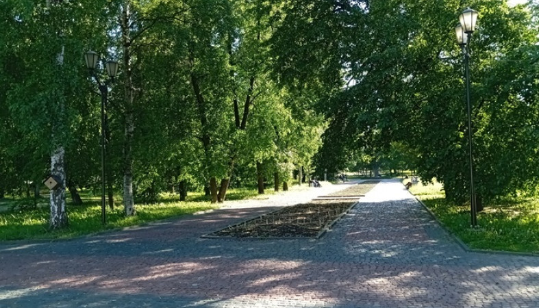 Дождливо и прохладно будет в выходные в Петрозаводске