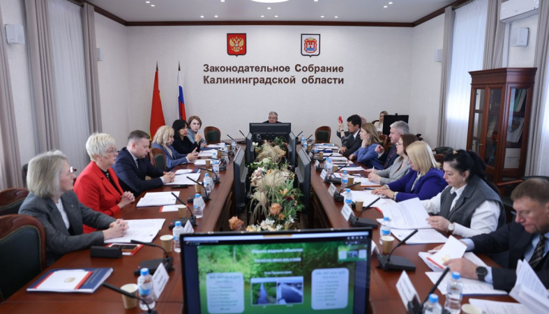 Парламентский комитет