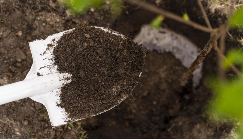 лопата_поискови_дача