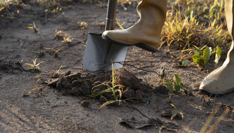 лопата_поисковик