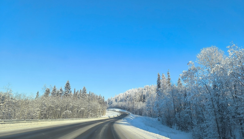 дорога зимой дорога зимой