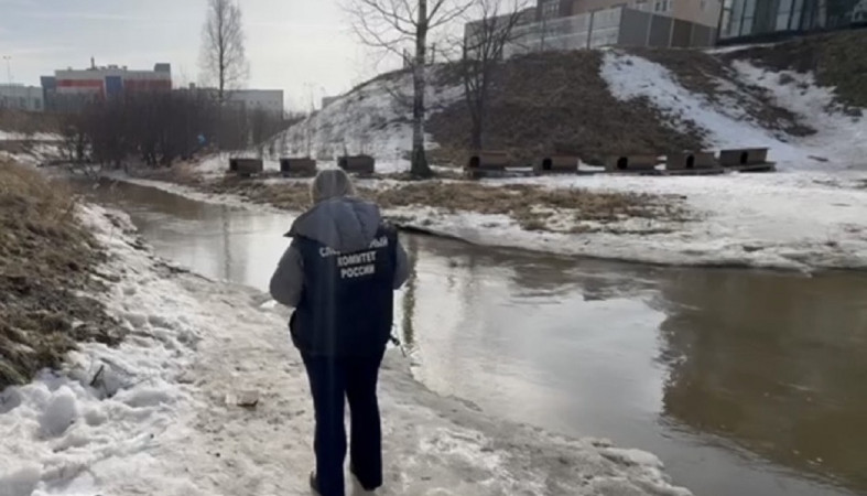 Следователь на реке