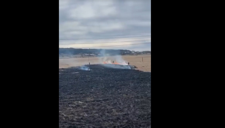 горит трава