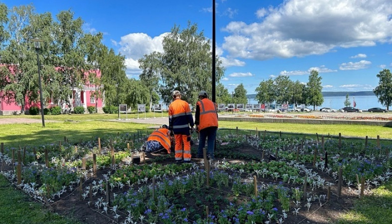 Петрозаводск усиленно готовят к празднованию Дня города