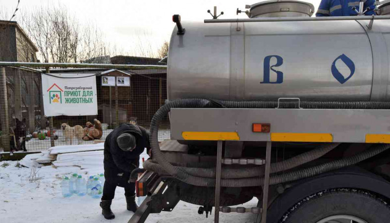 помощь приюту