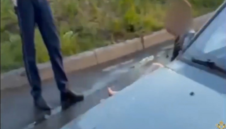 ловили неадеквата
