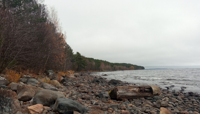 Осень в городе
