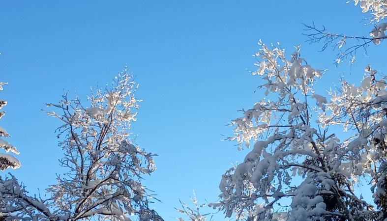 Погода 8 февраля 2026